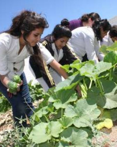 Alumnos que ense�an a hacer huertas en un centro de salud 