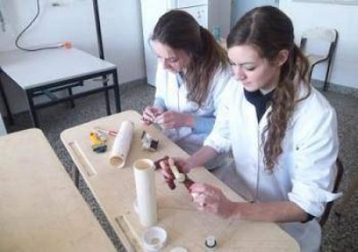Red de agua confiable: aporte de una escuela de San Mart�n 	 