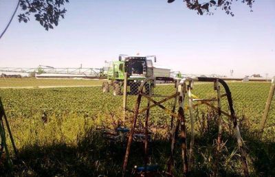 Dictamen de la UNMdP sobre agroqu�micos