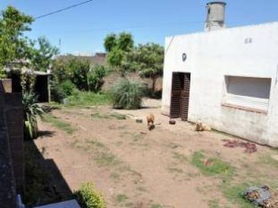 Horror en Coronel Su�rez: habr�a m�s v�ctimas de la red con tintes religiosos  