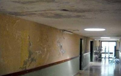  Representantes de Suteba trasladaron sus reclamos al Concejo Deliberante