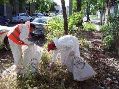 Contin�an trabajos de limpieza urbana