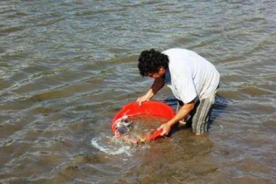 Se ampl�a la actividad pisc�cola en la provincia  