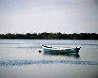  Madre e hijo pagaron 800 d�lares para ingresar al pa�s en bote desde Salto