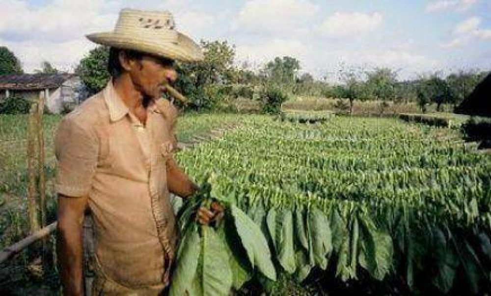 Impuestazo a productores primarios de Misiones 