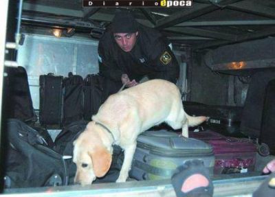 �Jubilaron� a los siete perros de la Polic�a que contrajeron leishmaniasis 