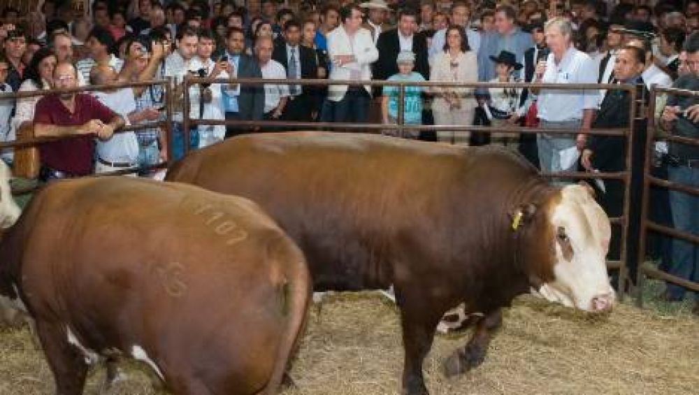 �Fue el hecho m�s importante de las �ltimas d�cadas para el sector� 