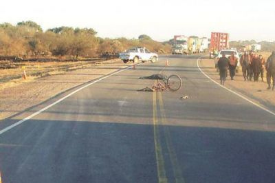 Peregrino pierde la vida atropellado por un auto que se dio a la fuga cerca de Lavalle  