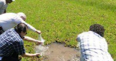 Entidad ambientalista dice que la siembra de peces contra el dengue es inservible y costosa