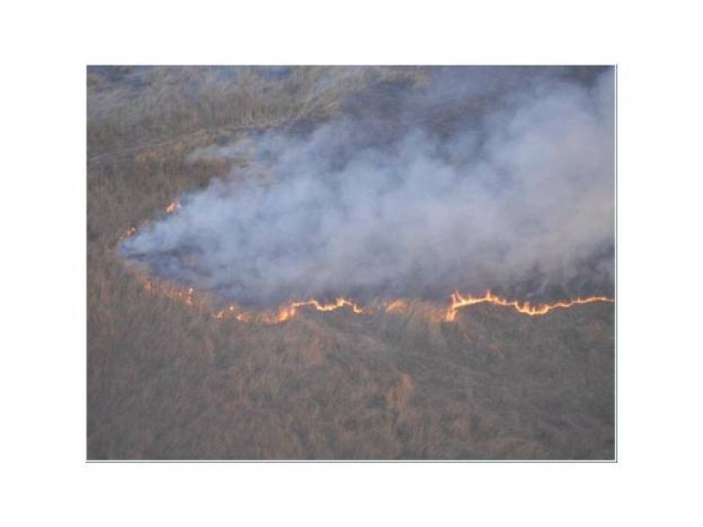 Avanza el plan estrat�gico para proteger al Delta del Paran�