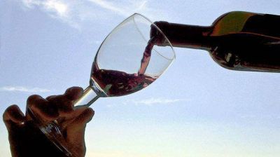Surgen nuevos vinos en Chubut de la mano de iniciativas privadas