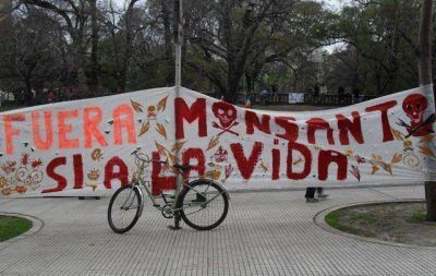 El fiscal Hidalgo pidi� archivar la causa contra Monsanto