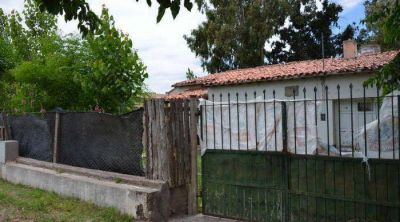Encuentran huerta con 680 plantas de marihuana en los fondos de una casa 
