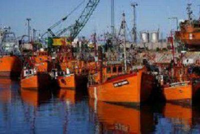 Aumentan 15% las exportaciones desde Mar del Plata