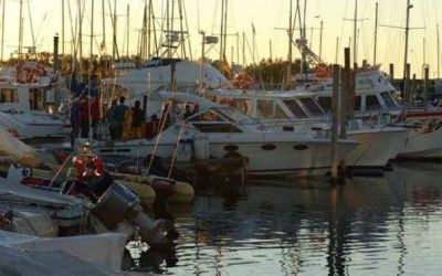 N�utico: Osse dice que el agua es apta, pero los socios desconf�an