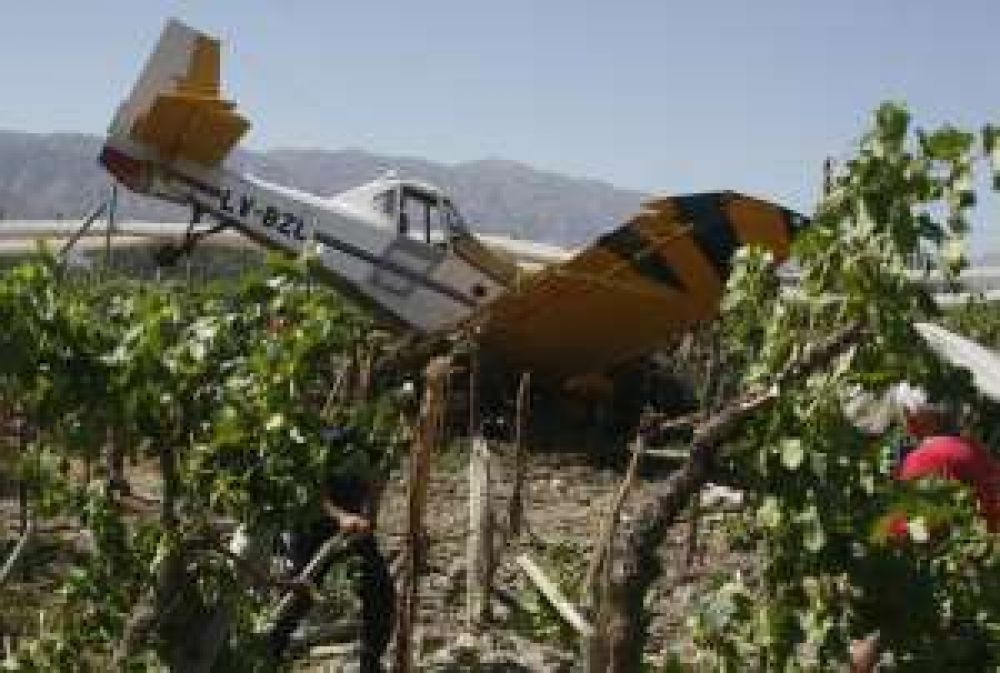 Cae en avi�n sobre un parral y habla de falla mec�nica