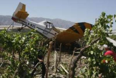 Cae en avi�n sobre un parral y habla de falla mec�nica
