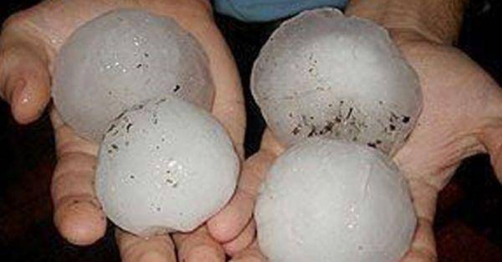 "Los fuertes cambios de temperatura provocan las pedreas" 