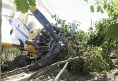 Avioneta: la fumigaci�n de 2.700 ha se ve complicada
