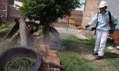 Despu�s de la lluvia extremar medidas de prevenci�n contra el Dengue