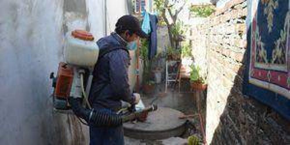 Por invasi�n de mosquitos aumenta la demanda de servicios de fumigaci�n