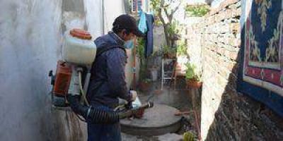 Por invasi�n de mosquitos aumenta la demanda de servicios de fumigaci�n