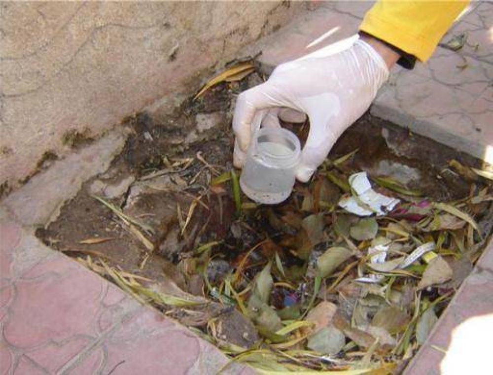 Culminan las acciones de prevenci�n del dengue en el recorrido de la Procesi�n de la Virgen