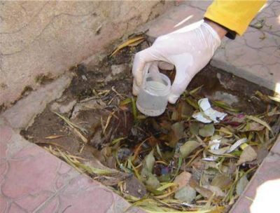 Culminan las acciones de prevenci�n del dengue en el recorrido de la Procesi�n de la Virgen
