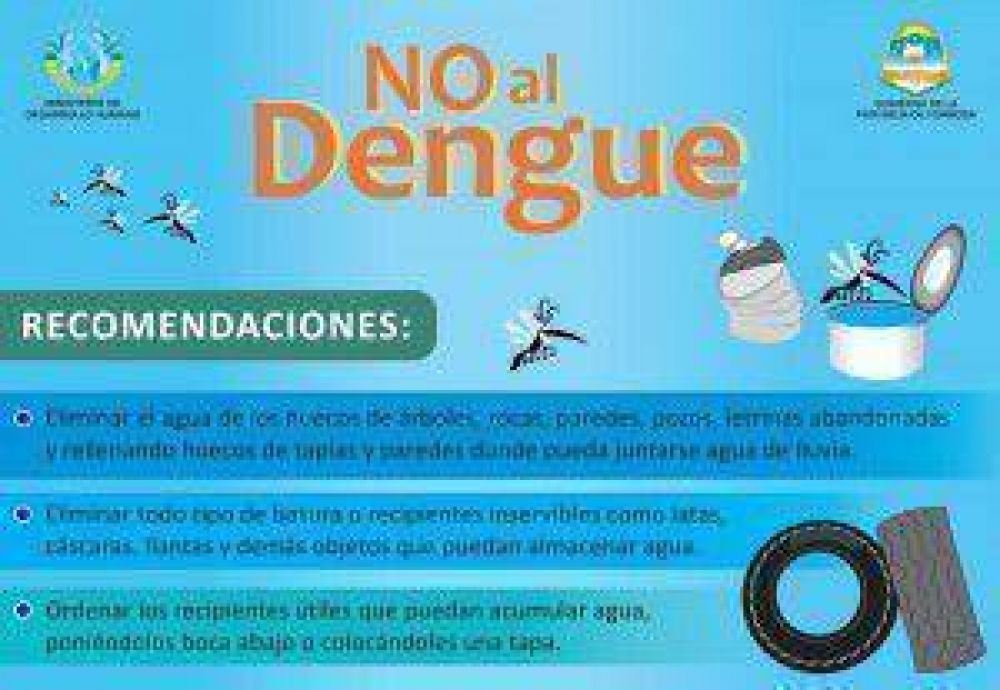 Sin presencia del mosquito trasmisor del dengue y la fiebre amarilla