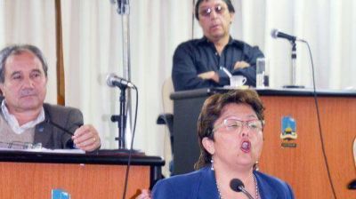 Un�nime pedido del Concejo para que se desdoble el marco regulatorio