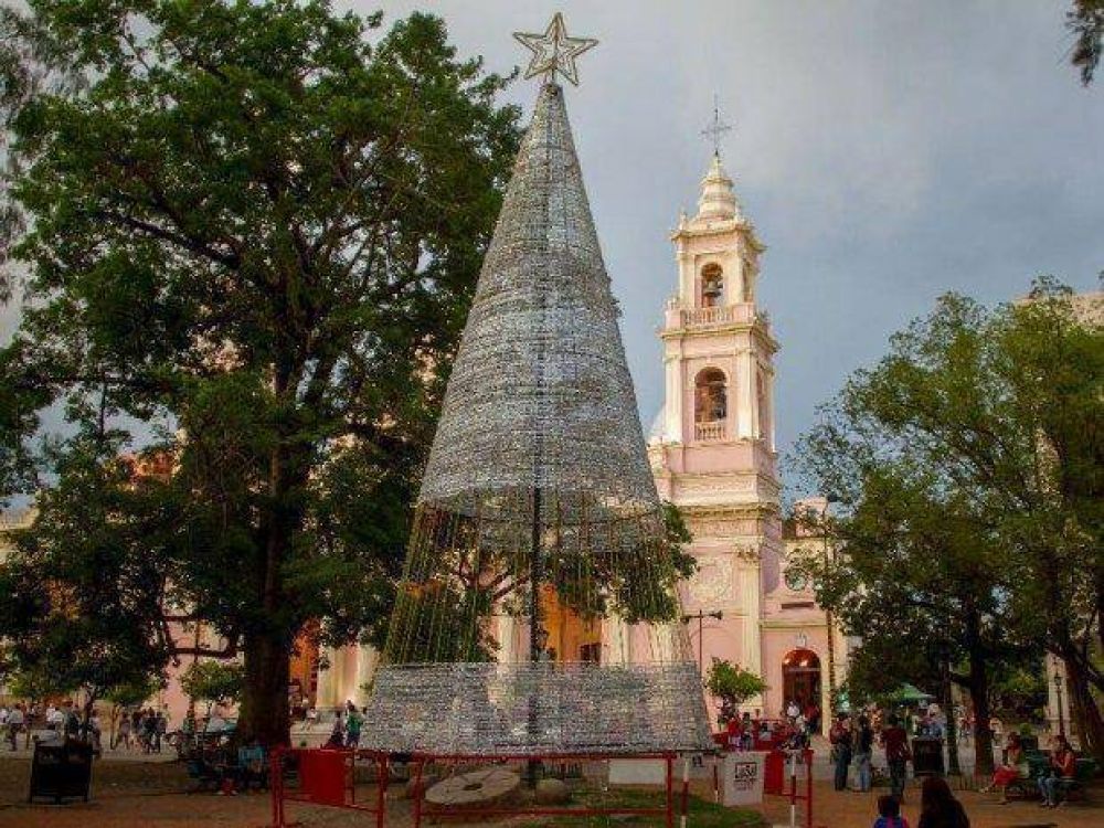 Arbolito de Navidad, tradici�n que se renueva cada 8 de diciembre