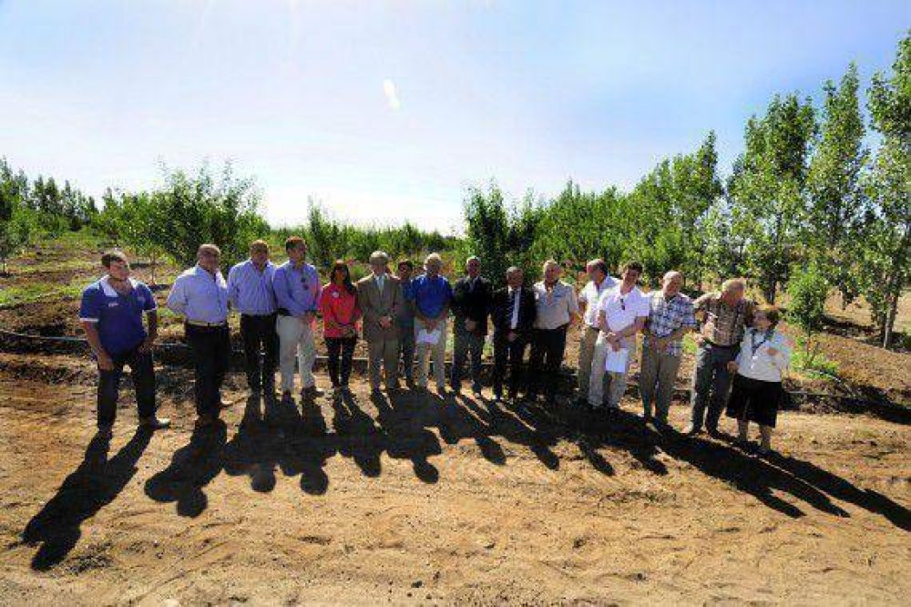 Poggi: �Pensar a largo plazo es que la Ley Frutihort�cola crezca�