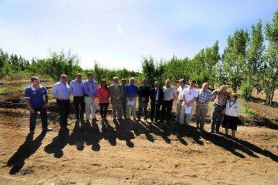 Poggi: �Pensar a largo plazo es que la Ley Frutihort�cola crezca�