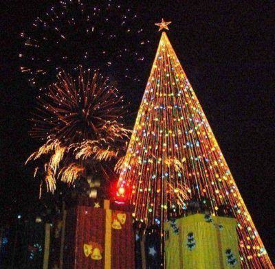 Se encendi� esta noche el �rbol de Navidad