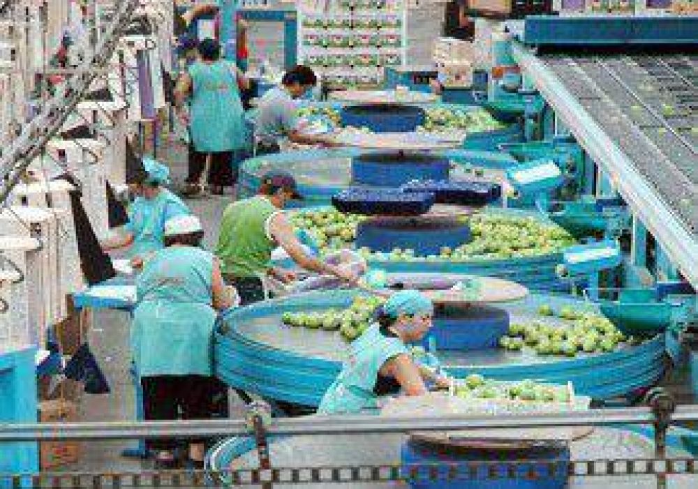 Cerca de 3.000 entrerrianos arribar�n para hacer la cosecha en empaques 