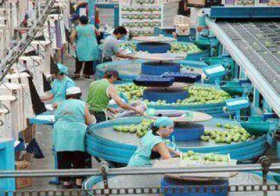 Cerca de 3.000 entrerrianos arribar�n para hacer la cosecha en empaques 