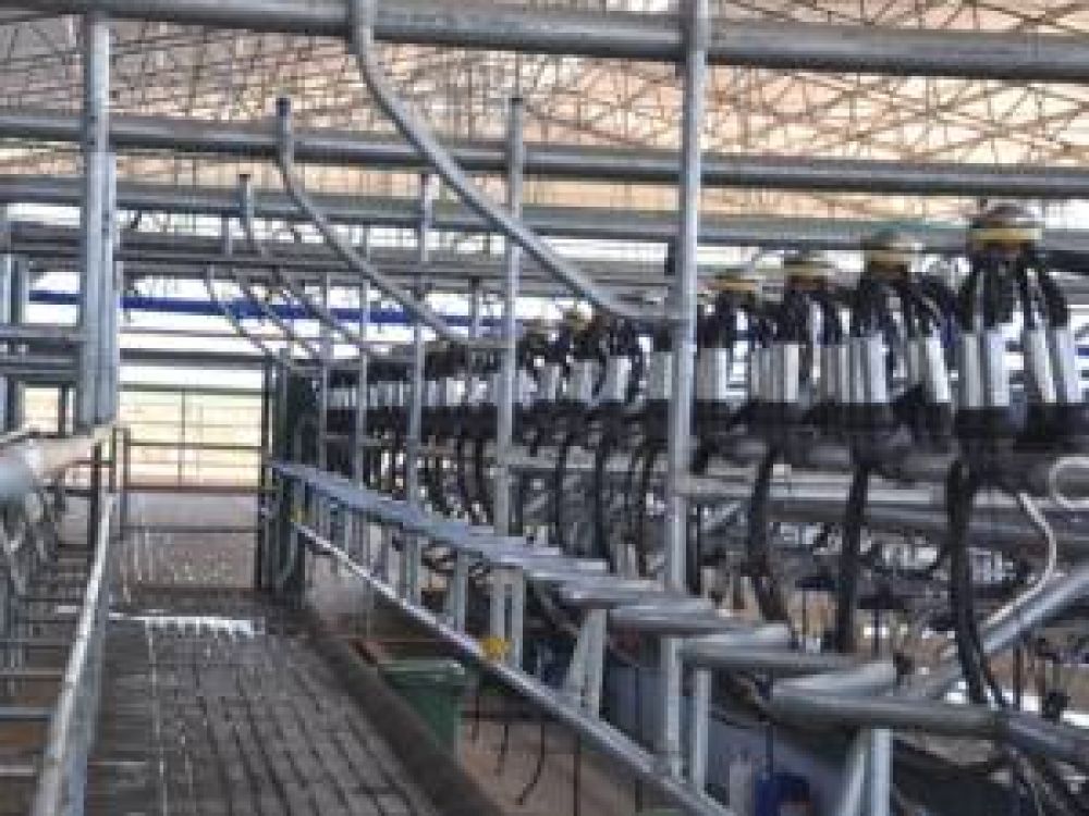 El Grupo Navilli quiere comprar la planta de Milkaut en San Luis 
