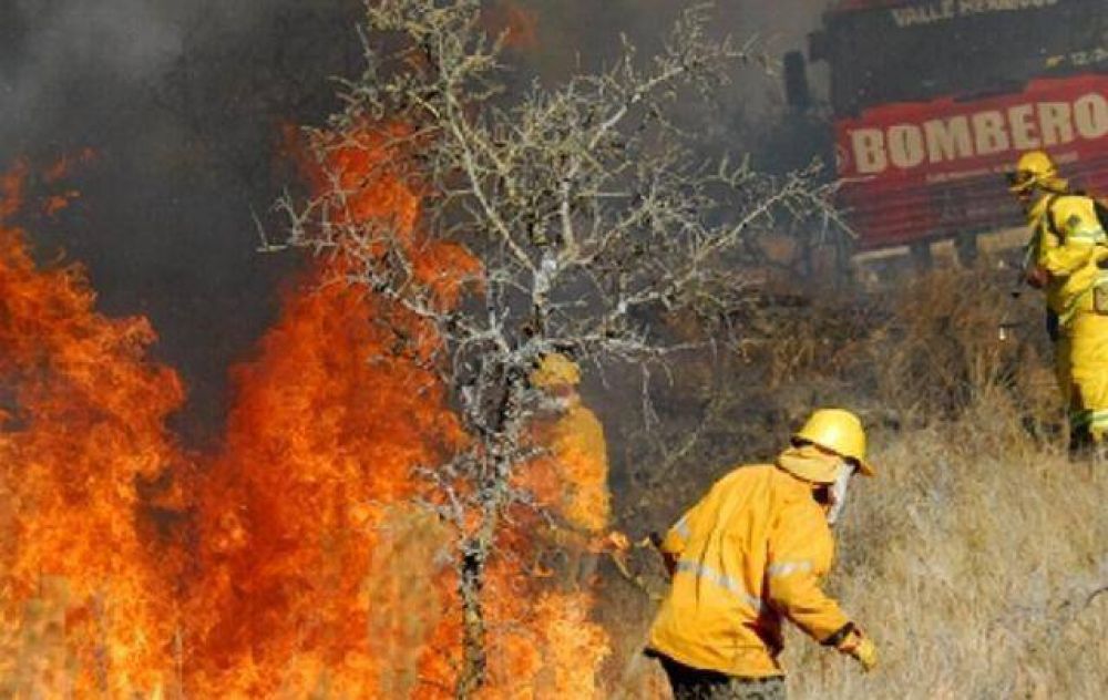 Bomberos crean sistema para llegar antes a los incendios