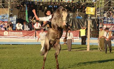 Gran cierre para la doma en el �ltimo d�a del Festival