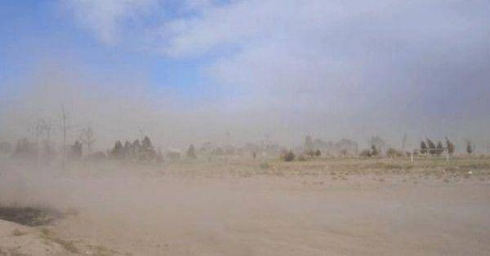 El viento volte� gajos y cables de servicio 