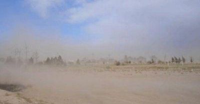 El viento volte� gajos y cables de servicio 