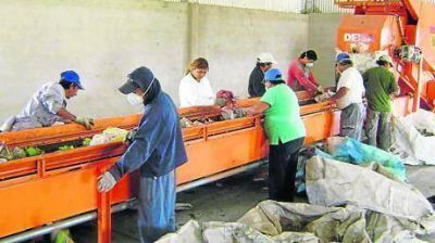 La Muni quiere duplicar los centros verdes