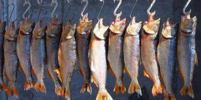 Proh�ben la venta del Dorado en la Ciudad