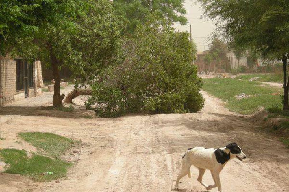 Un fuerte viento azot� a varias ciudades de Santiago del Estero 