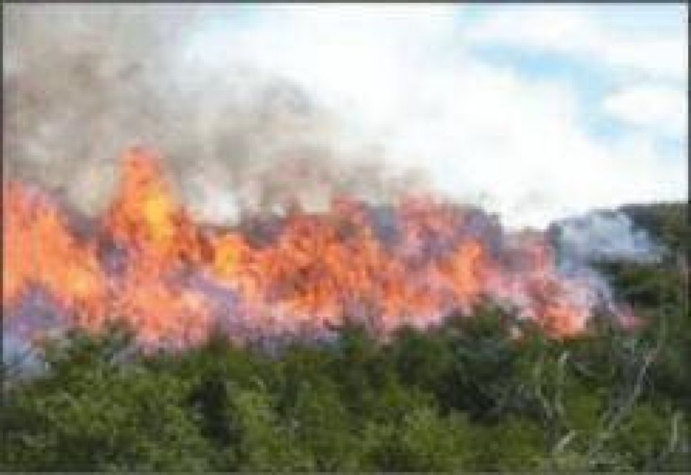 Se mantienen altos los �ndices de incendio en la provincia