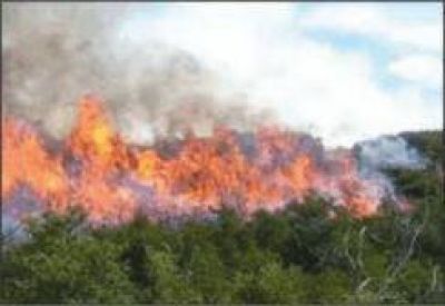 Se mantienen altos los �ndices de incendio en la provincia