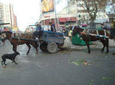 Se va acercando la fecha l�mite para los carritos en Quilmes
