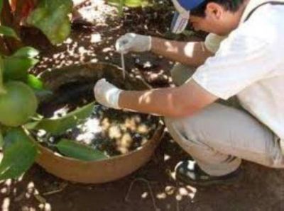 Con la llegada de las altas temperaturas, el dengue sobrevuela Misiones
