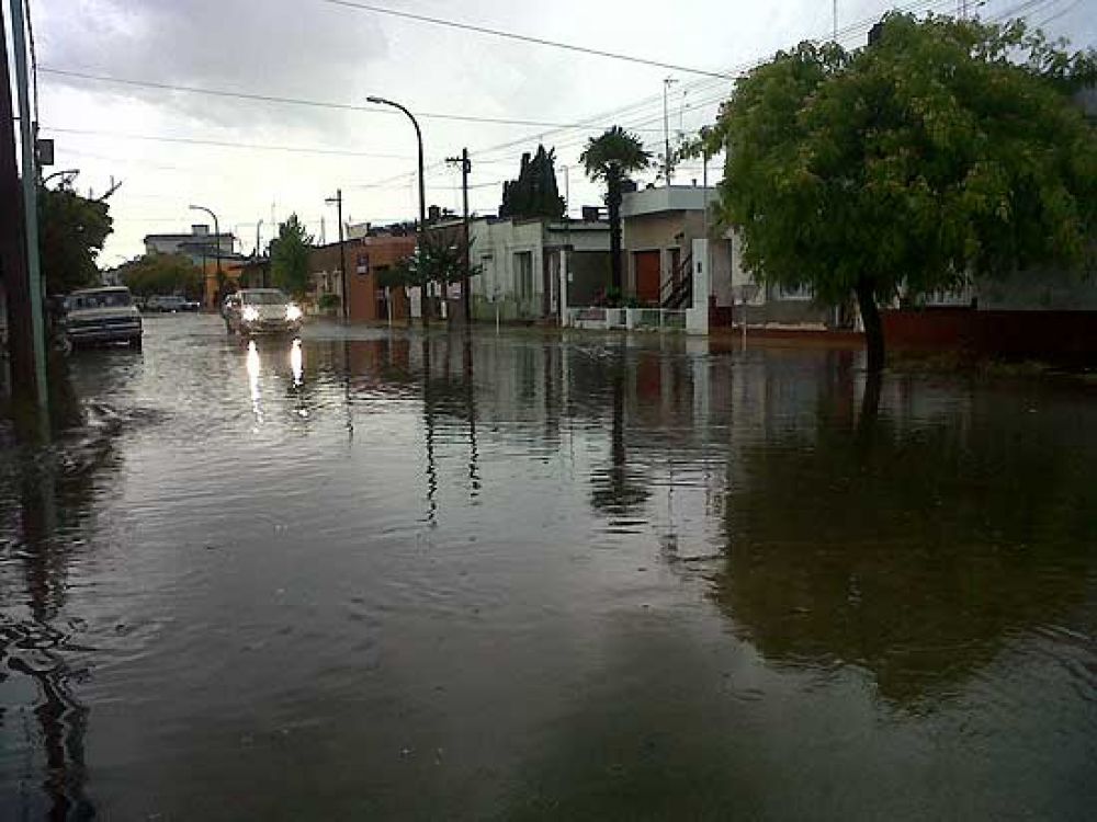 Lluvia torrencial: las fuertes r�fagas de viento tiraron �rboles y causaron serios da�os