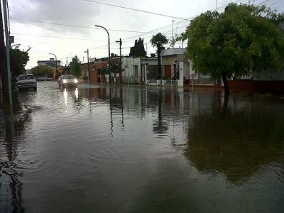 Lluvia torrencial: las fuertes r�fagas de viento tiraron �rboles y causaron serios da�os